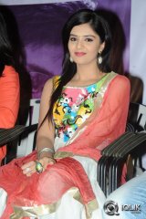 Prema Ishq Kaadhal Audio Success Meet